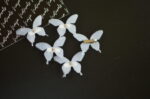 5 piece DAINTY SMALL BUTTERFLY HAIR CLIPS - Image 2